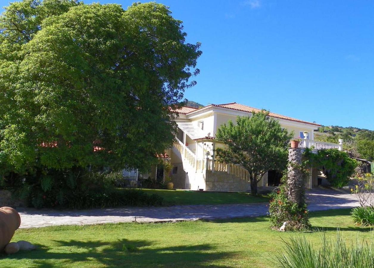 Casa-Palo-Pique Apartment Icod De Los Vinos Ngoại thất bức ảnh